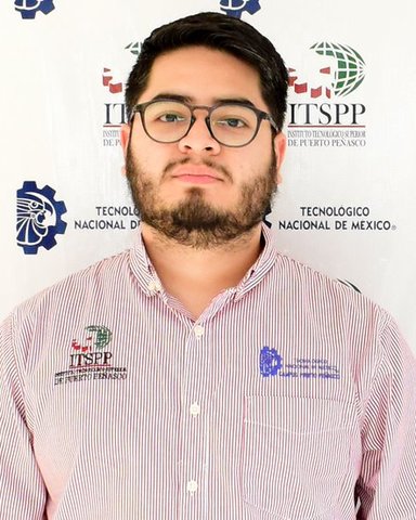 Ing. LUIS PEREZ VALENZUELA